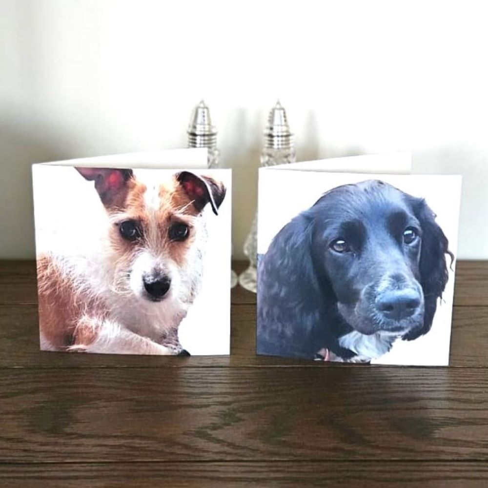 dog-thank-you-cards