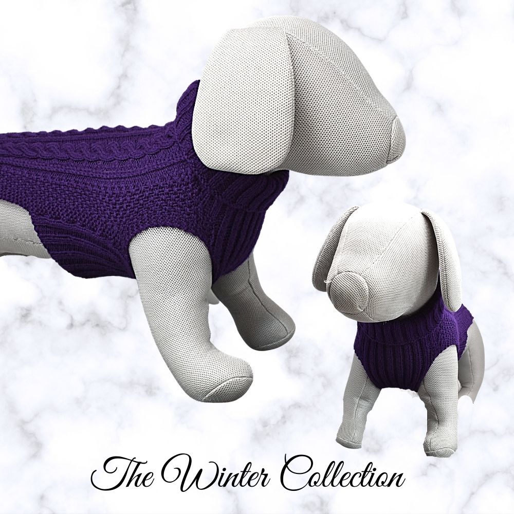 dog-knitted-jumper