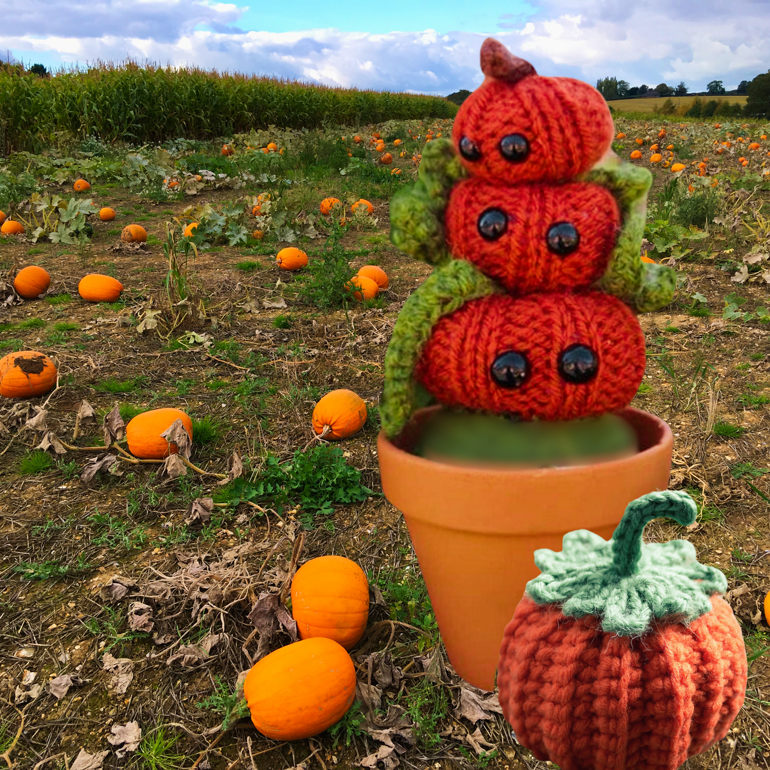 mini pumpkin stack