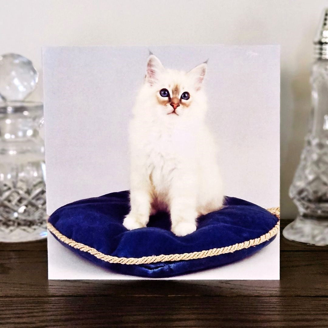 birman-cat-cards