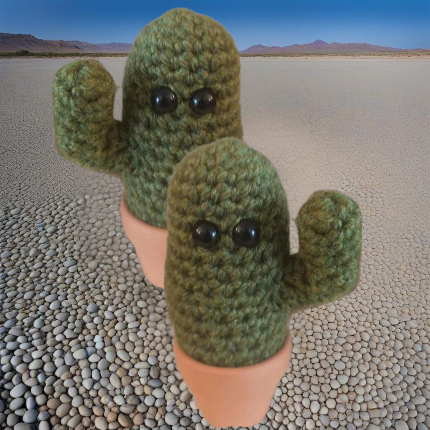 cactus gift