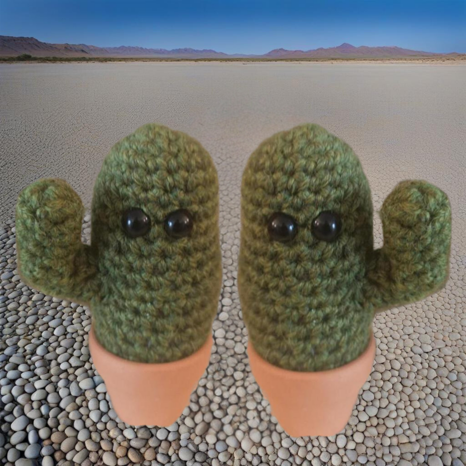 cactus gift