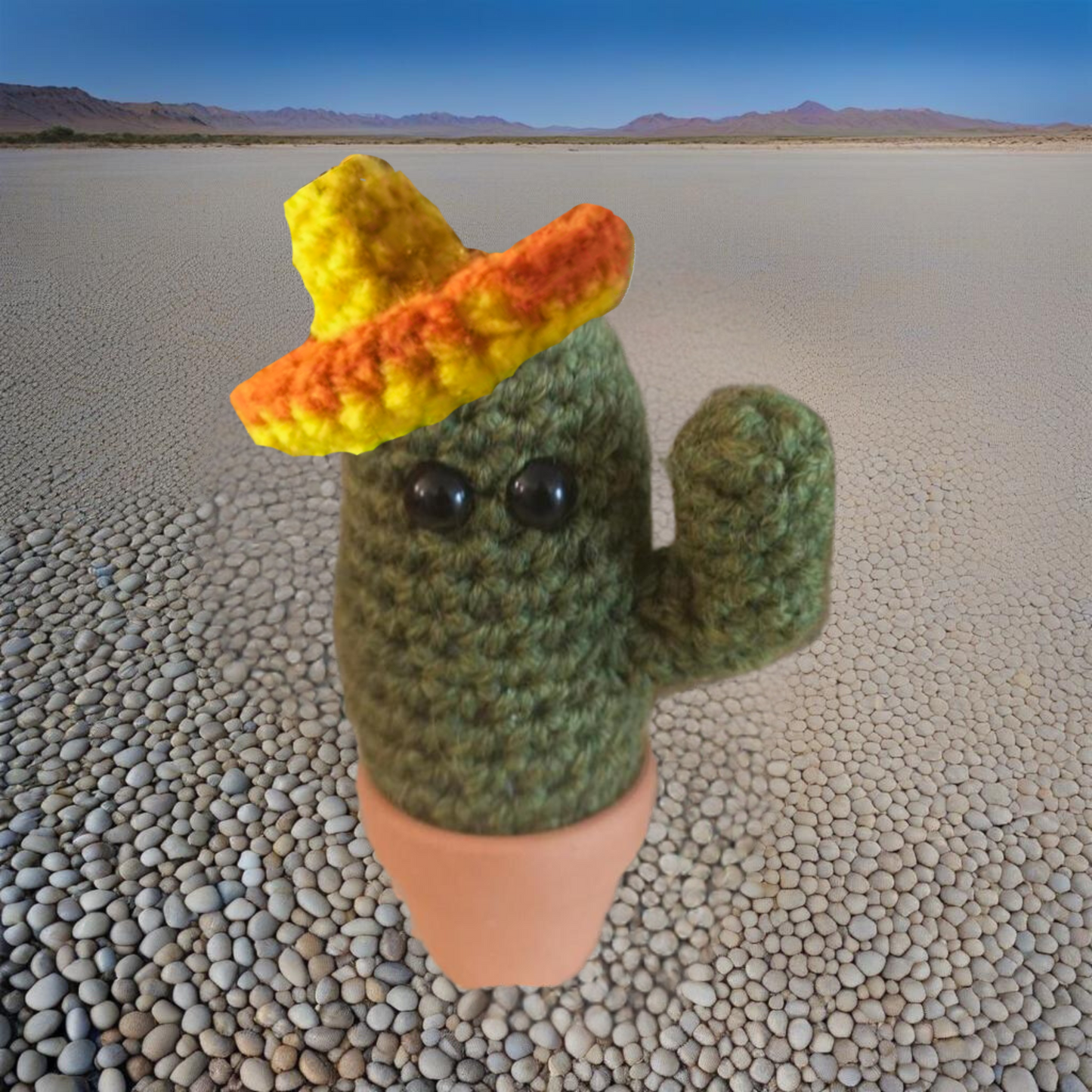 cactus gift