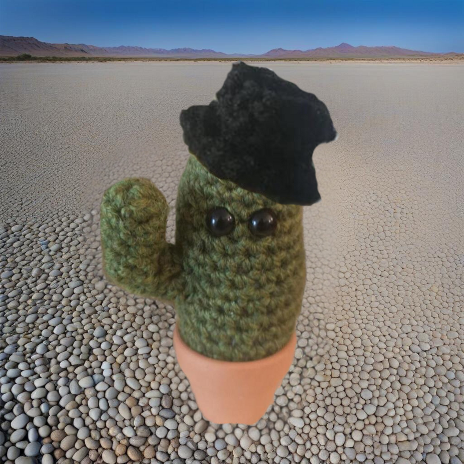 cactus gift