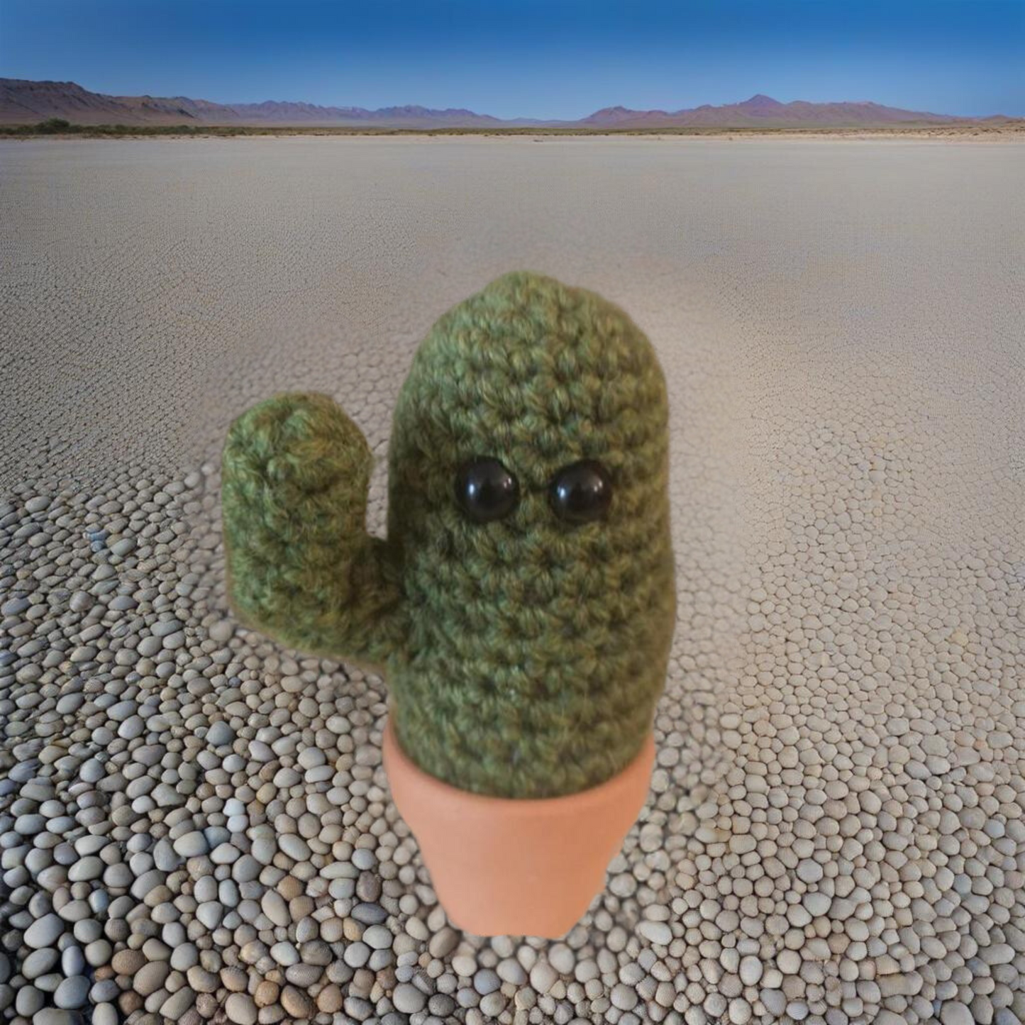 cactus gift