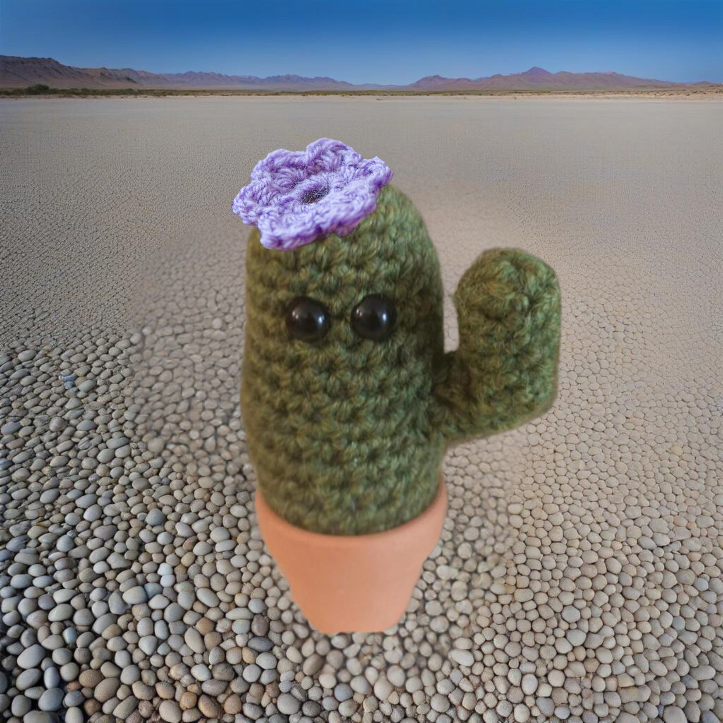 cactus gift