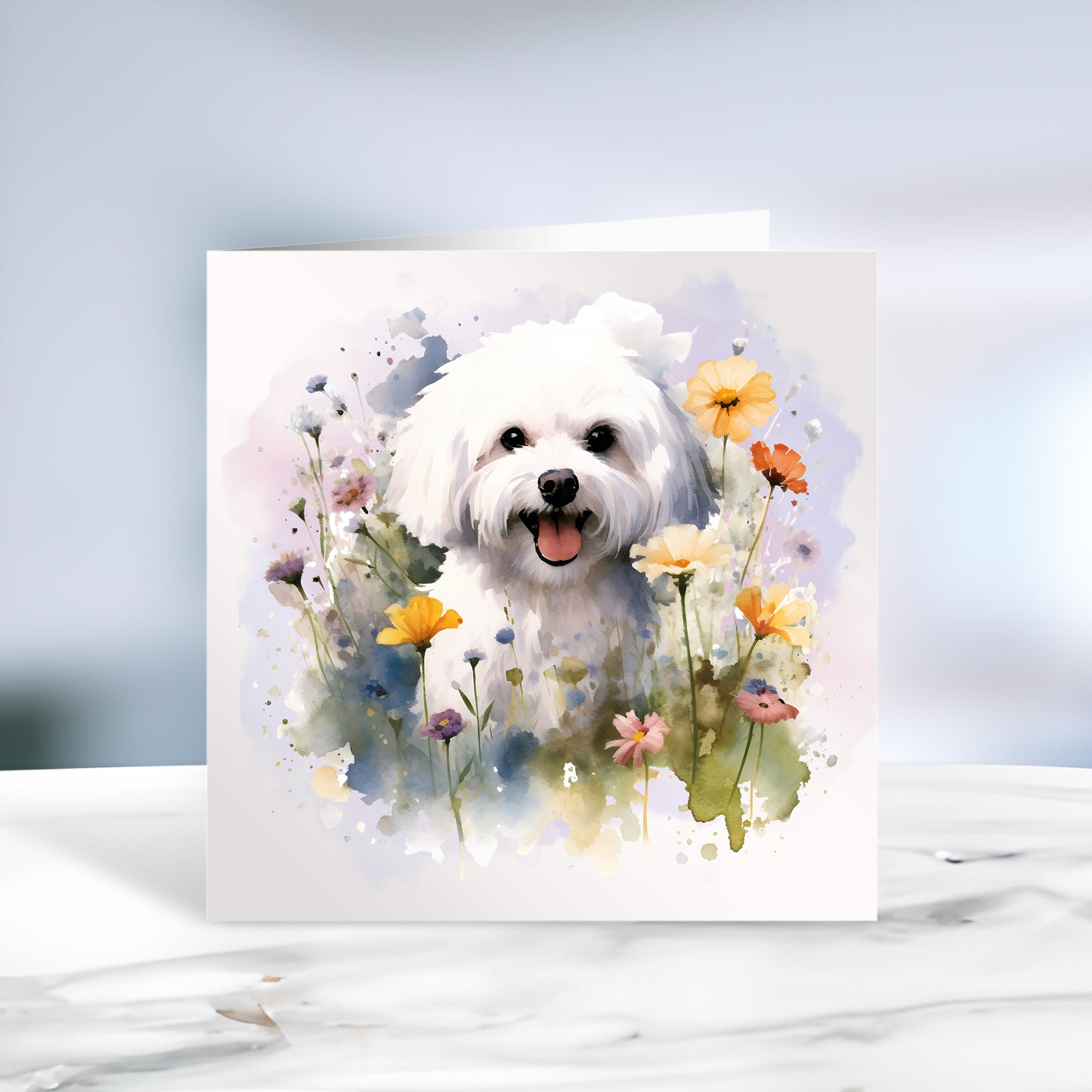 bichon-frise-card