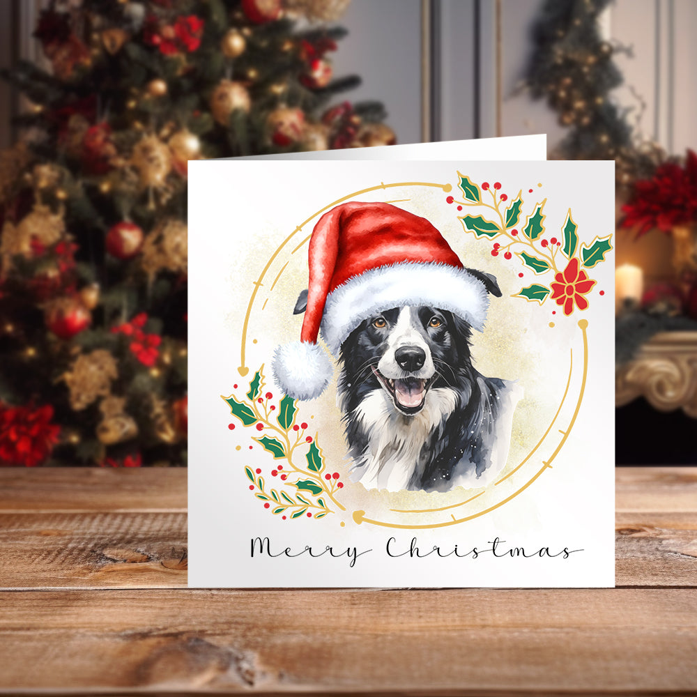 border-collie-christmas-card