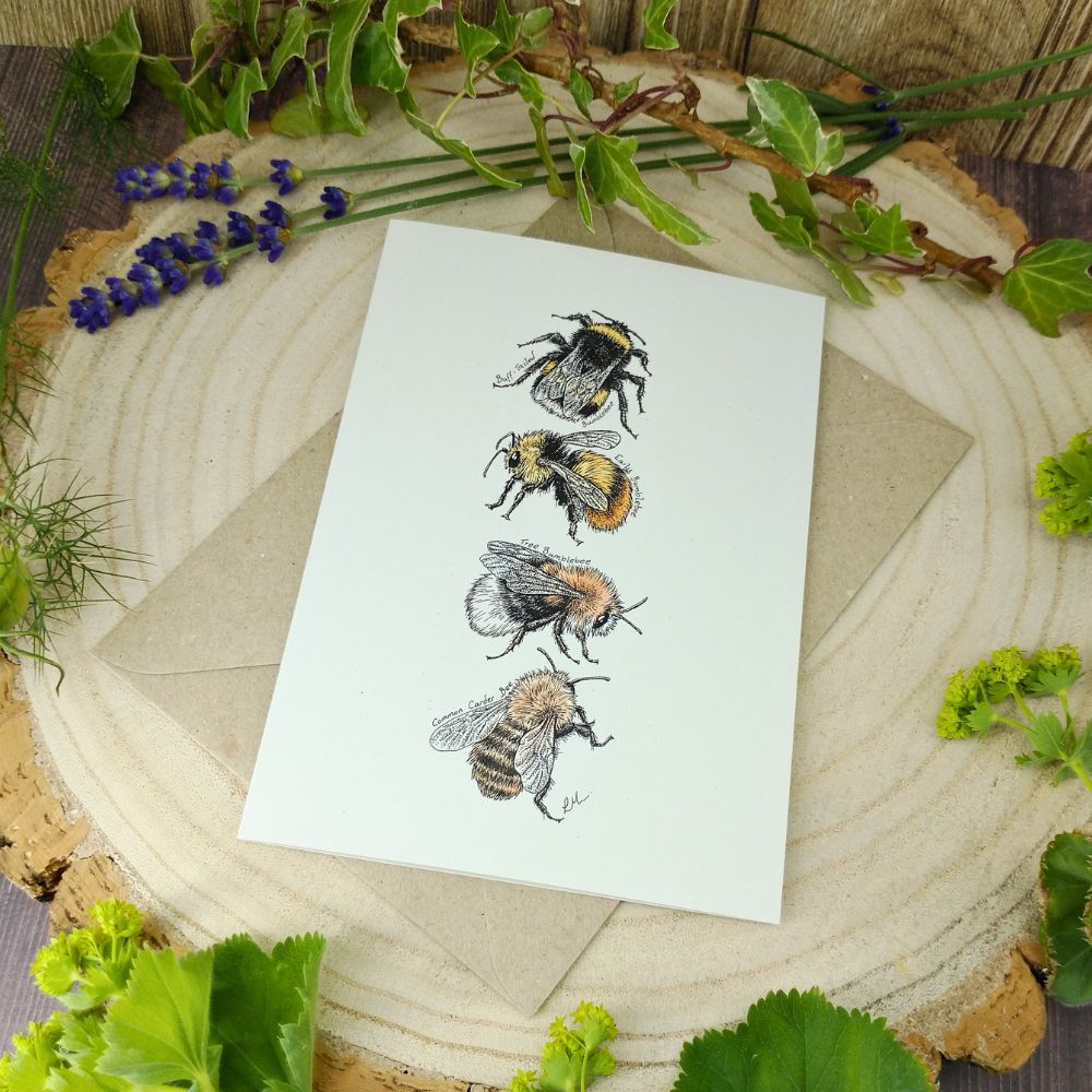 bumblebee-card