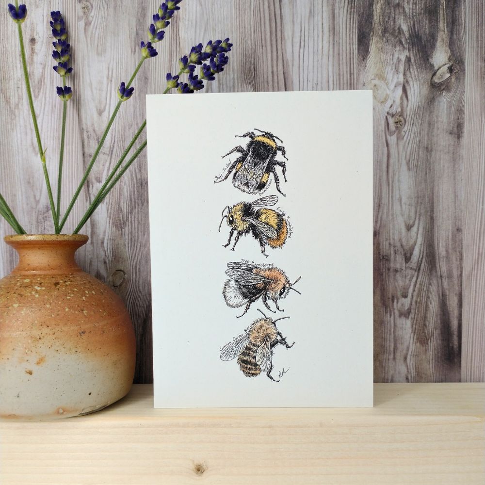 bumblebee-card