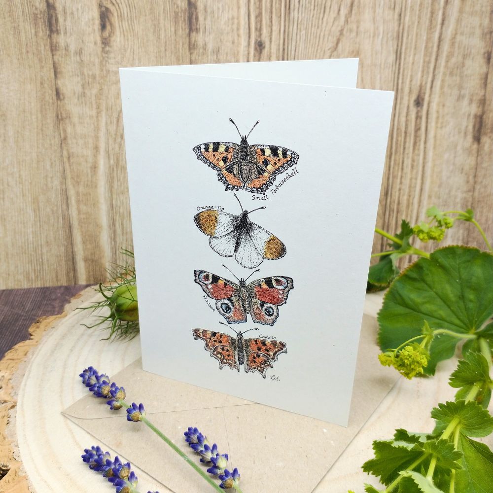 butterfly-card