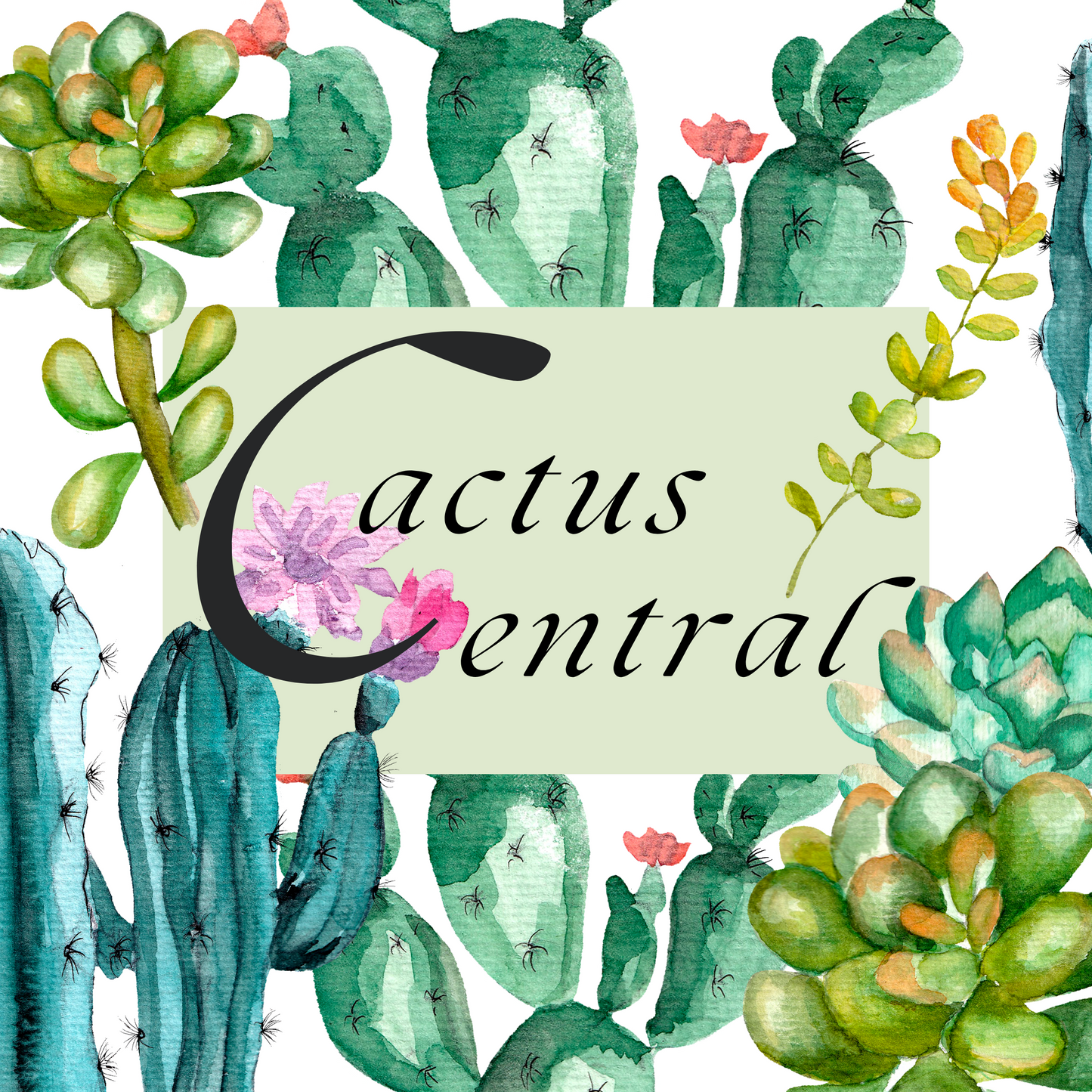 cactus central