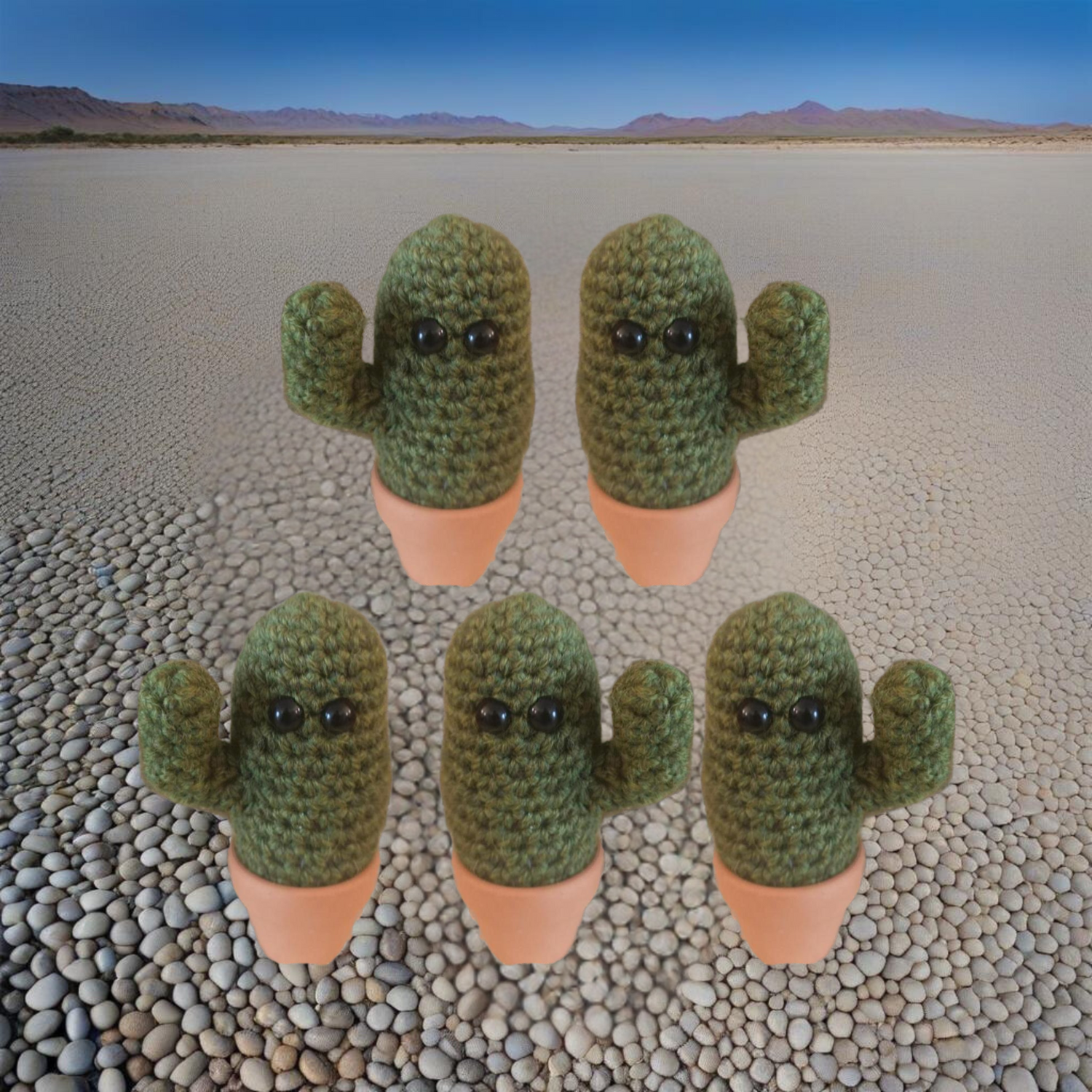 cactus gift