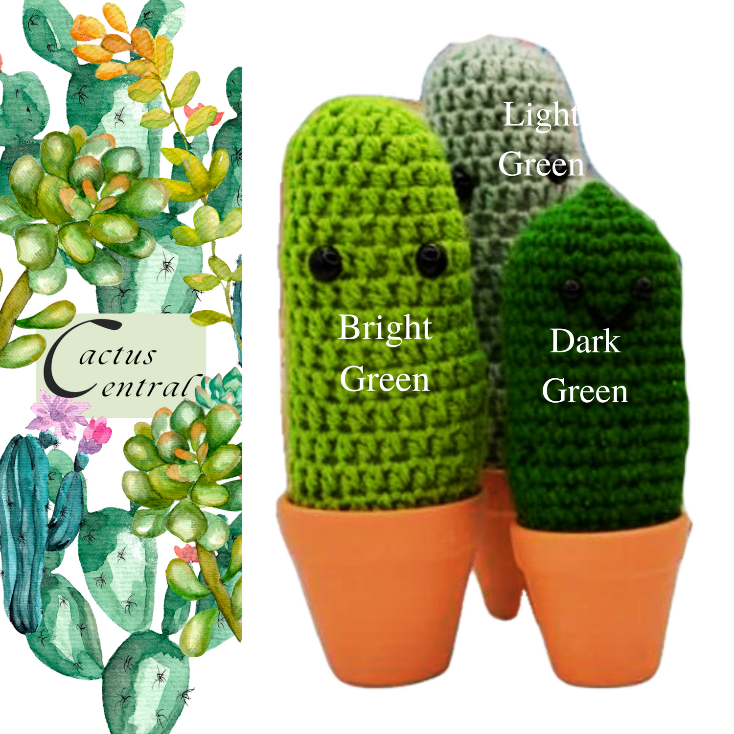 cactus themed gifts