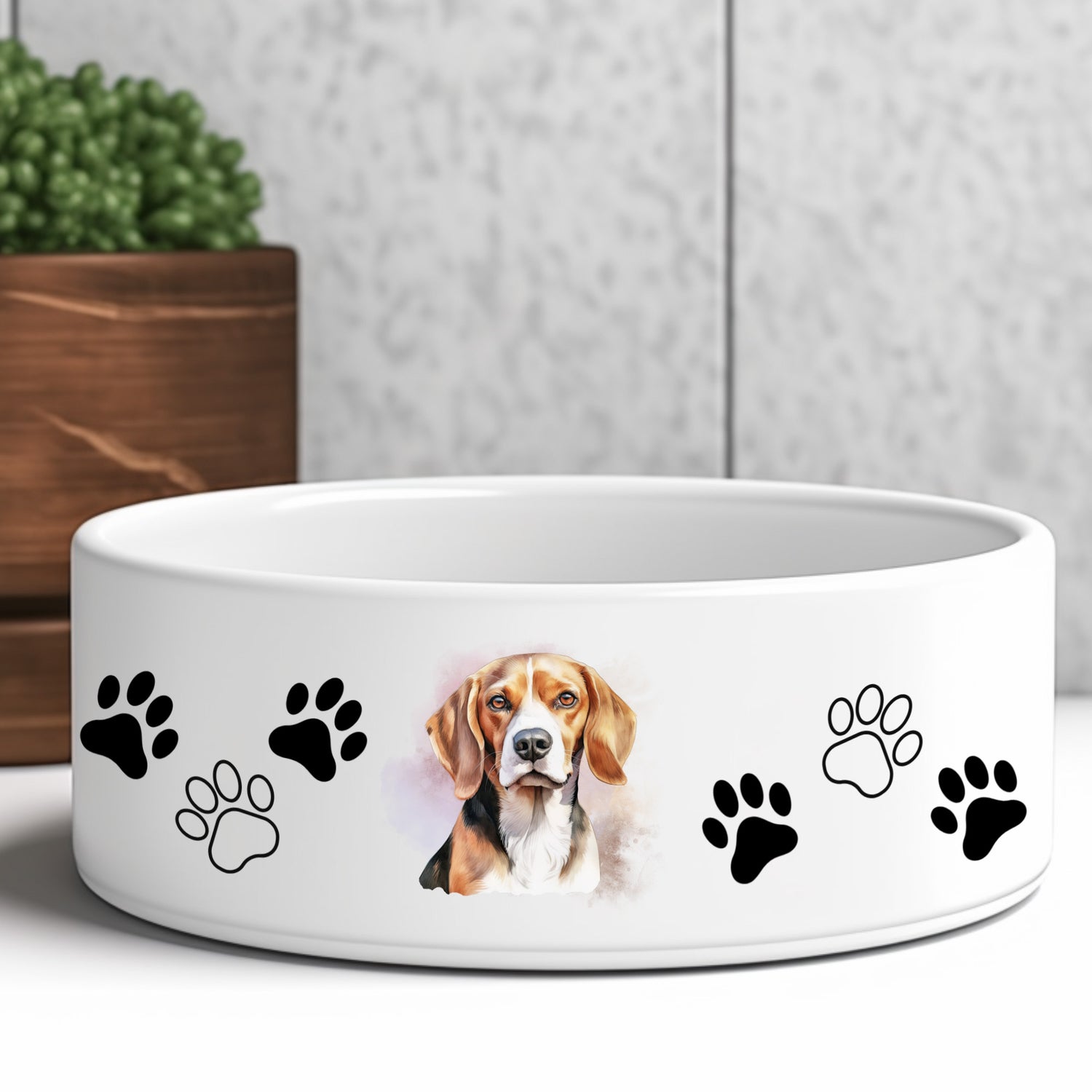 beagle-dog-bowl