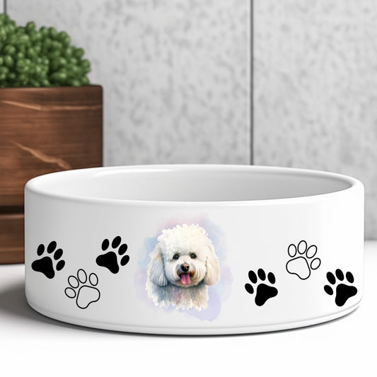 bichon-frise-dog-bowl