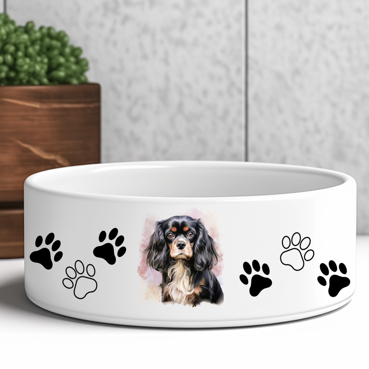 cavalier-king-charles-spaniel-black-and-tan-dog-bowl