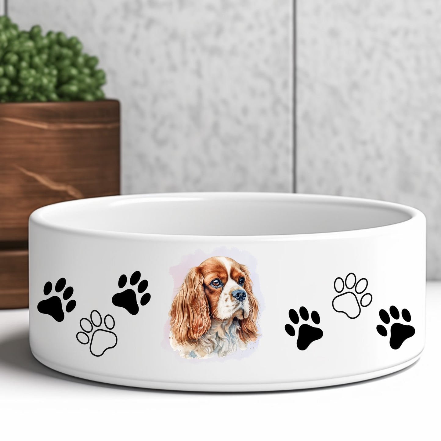 cavalier-king-charles-spaniel-blenheim-dog-bowl