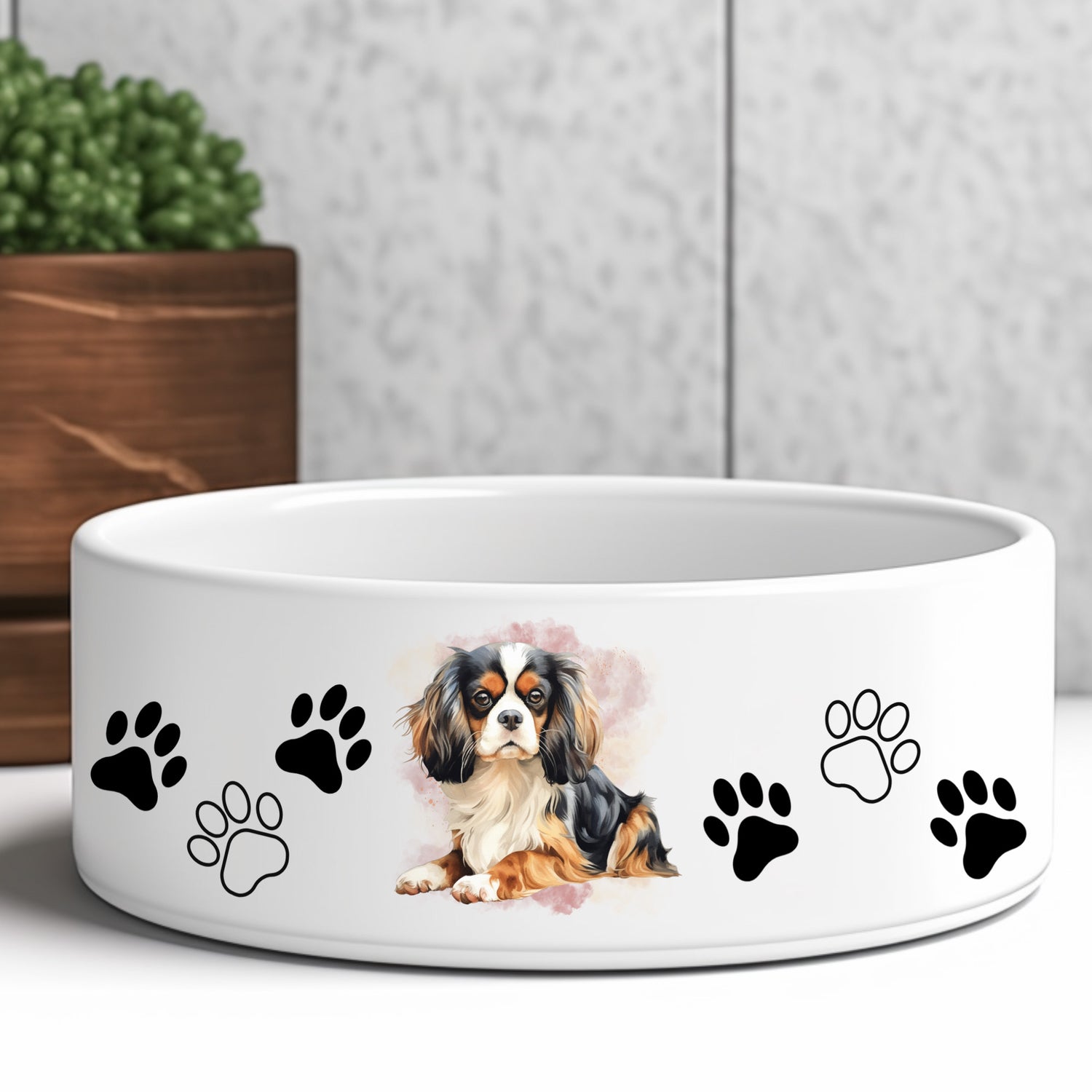 cavalier-king-charles-spaniel-tri-colour-dog-bowl