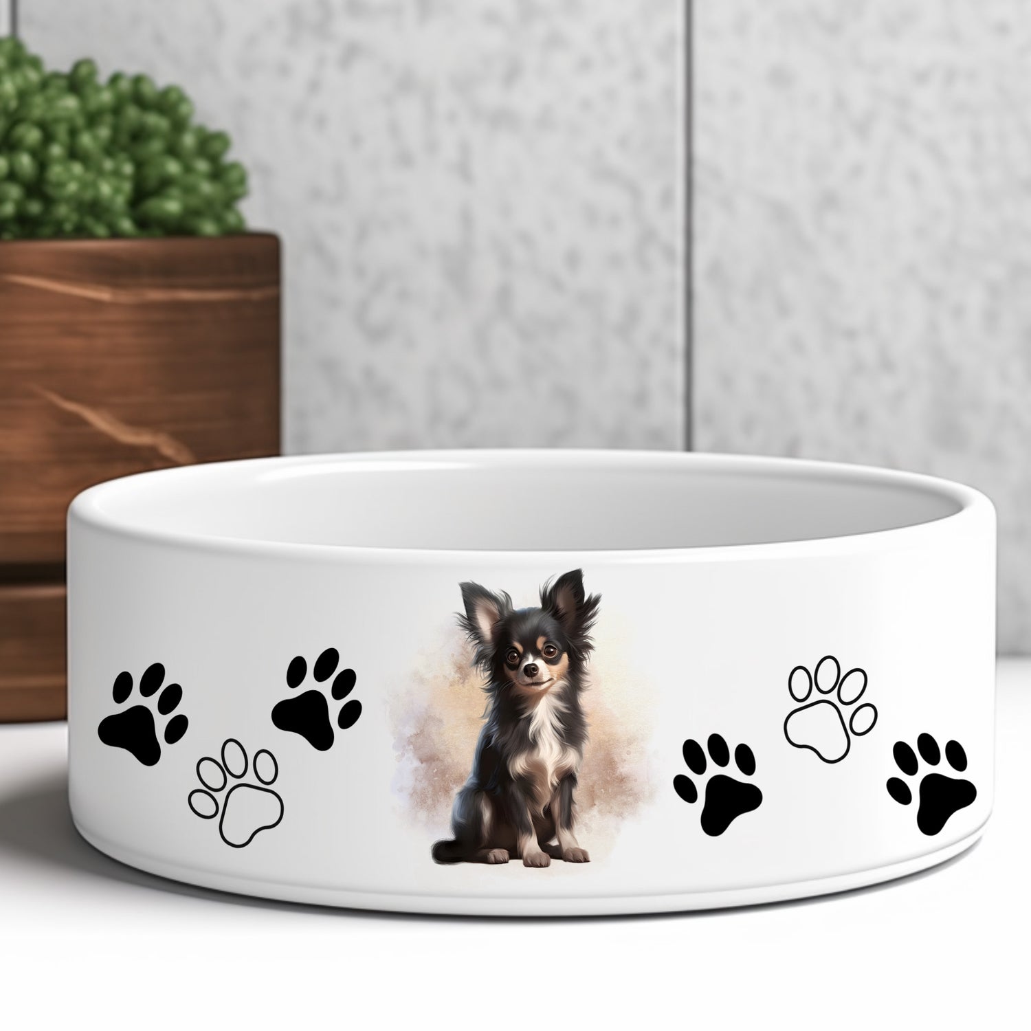 black-and-tan-long-haired-chihuahua-dog-bowl