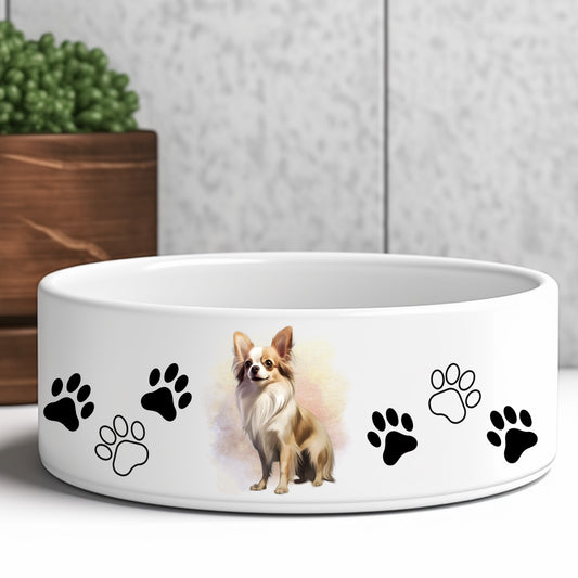 fawn-long-haired-chihuahua-dog-bowl