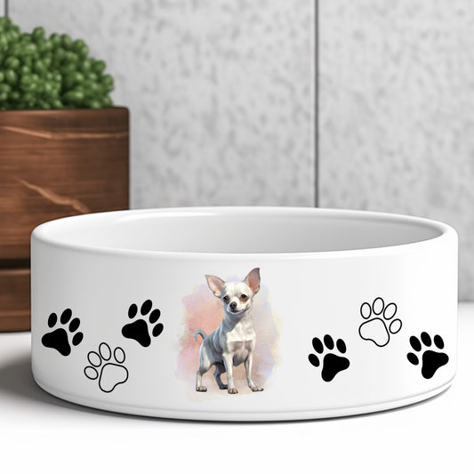 white-smooth-chihuahua-dog-bowl