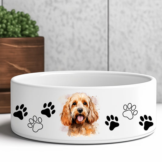 apricot-cockapoo-dog-bowl