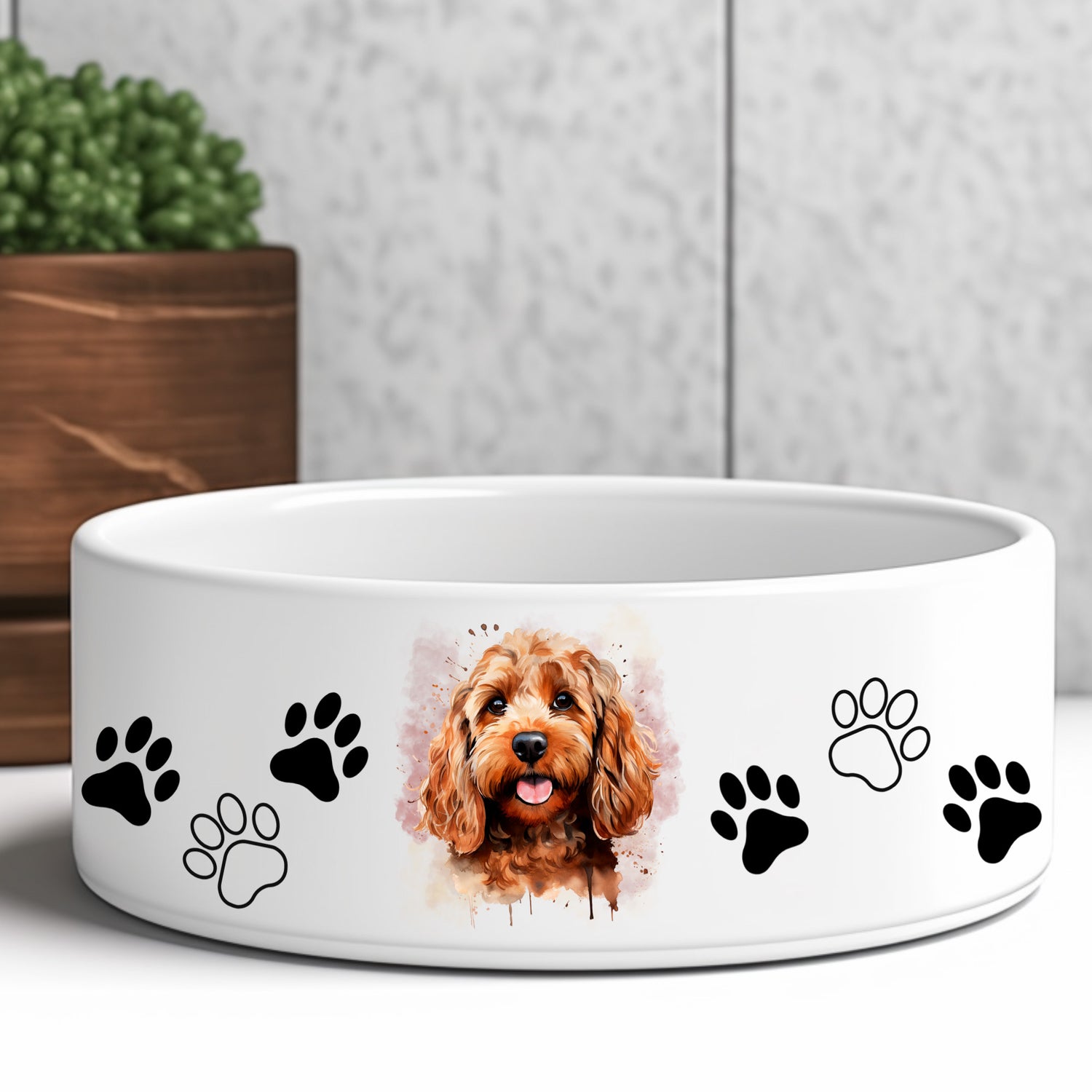 cockapoo-dog-bowl