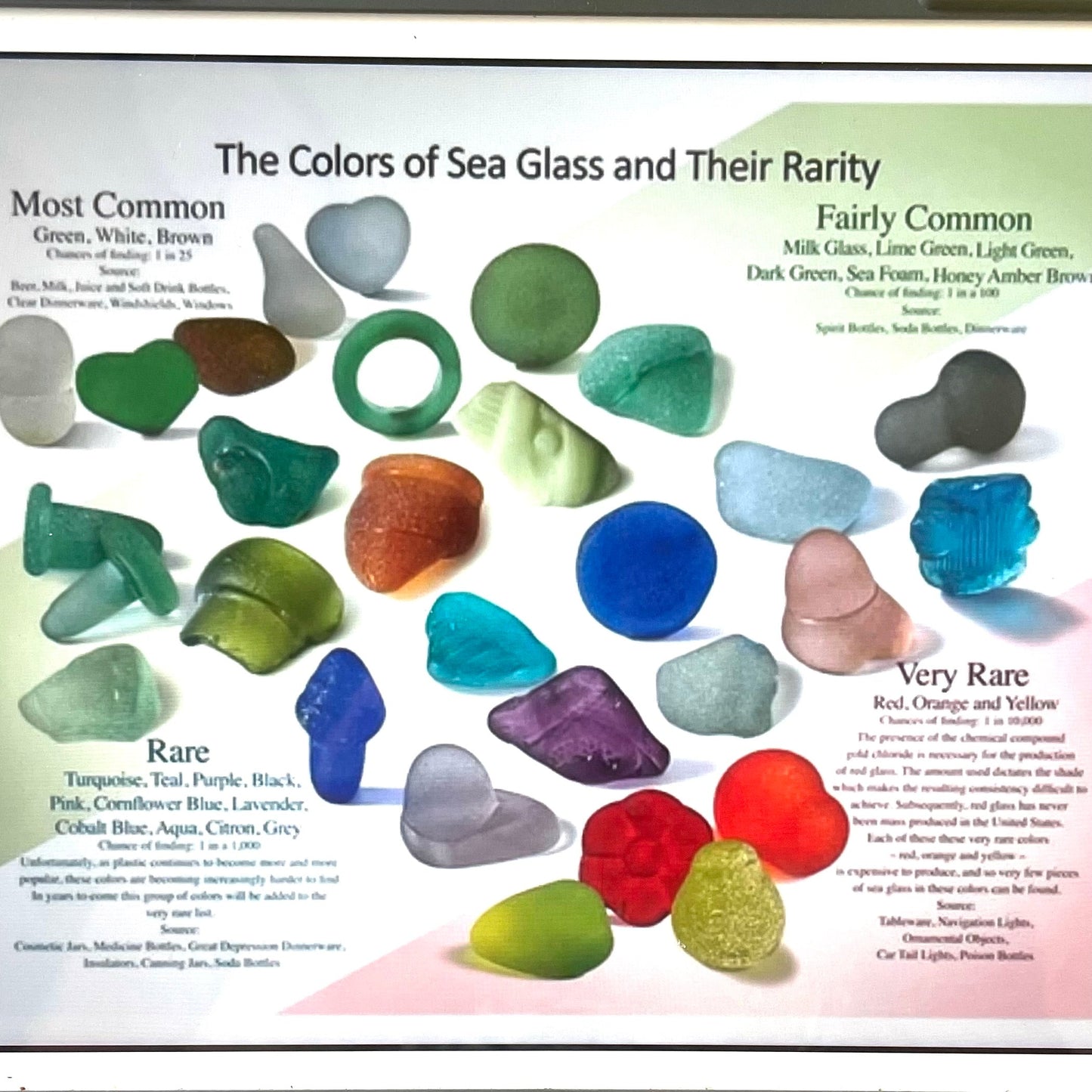 cornish sea glass turtles 