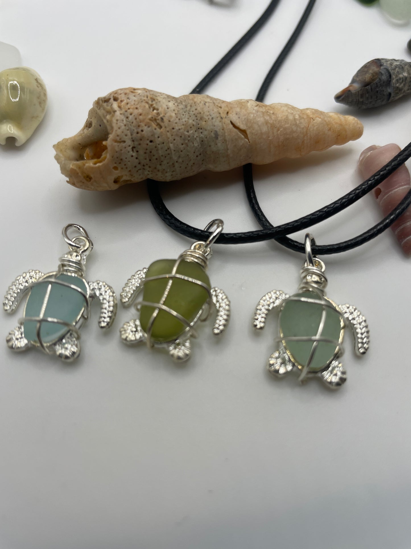 cornish sea glass turtles 