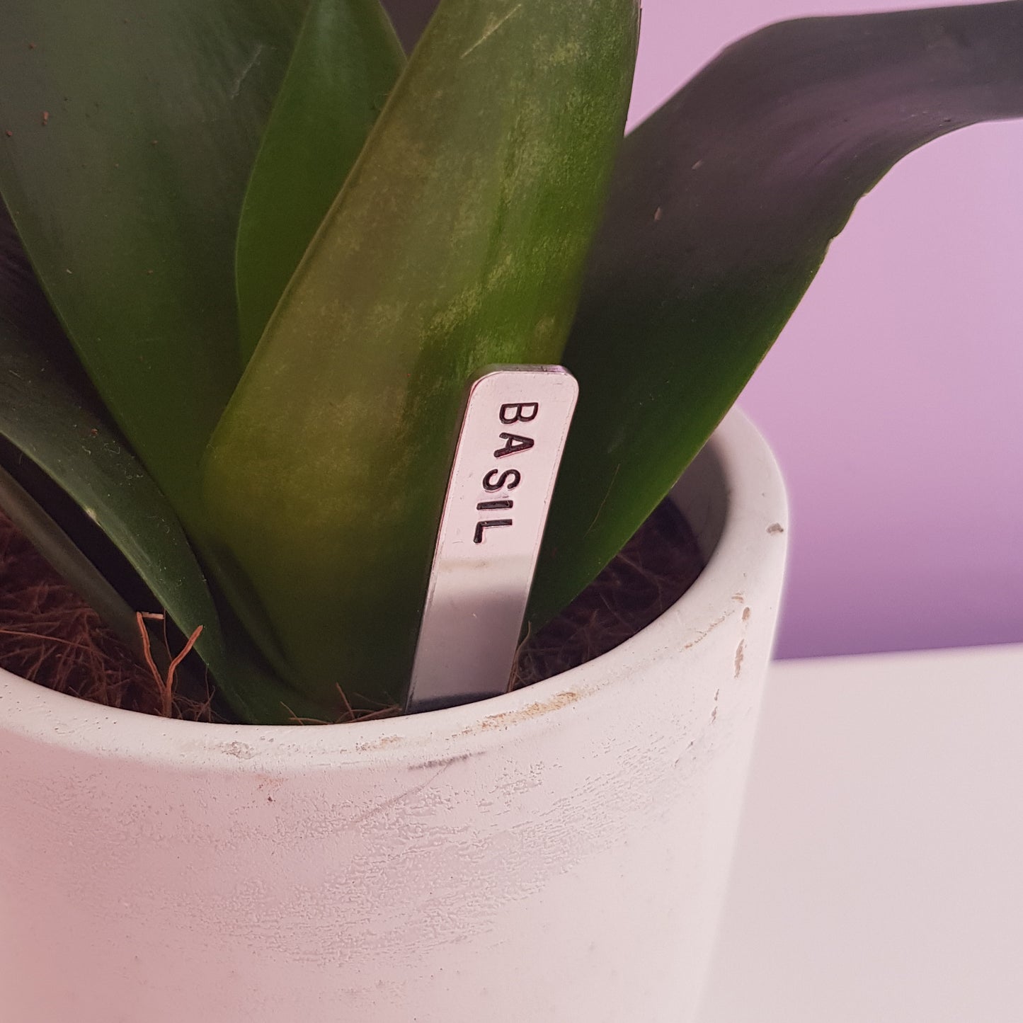 mini-plant-labels