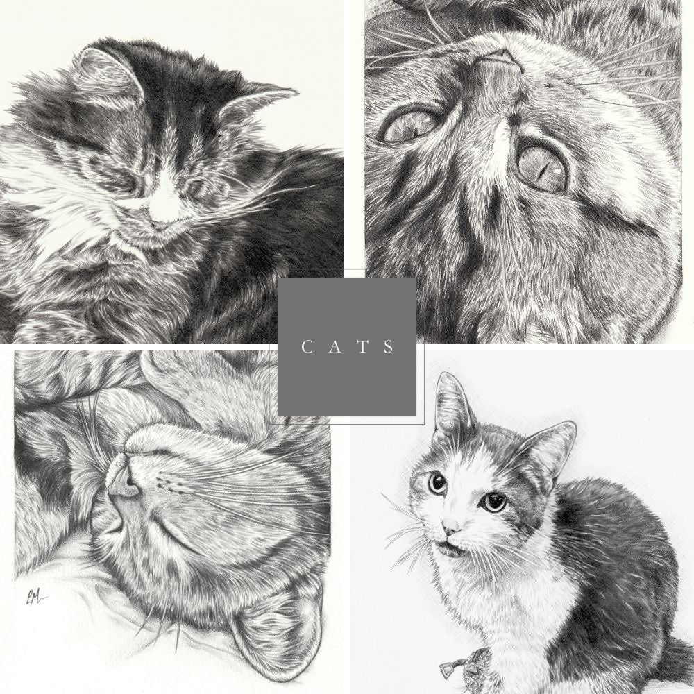 pet-portrait-gift