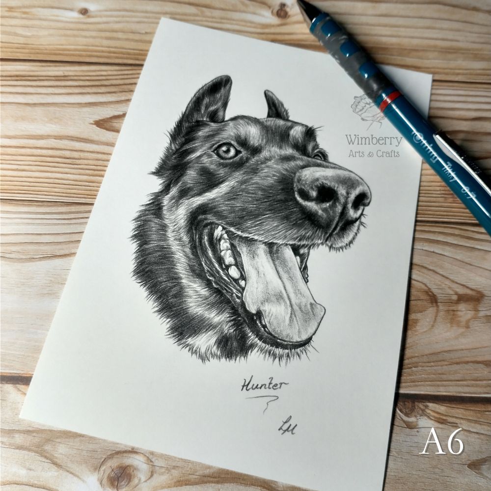 pet-portrait-gift