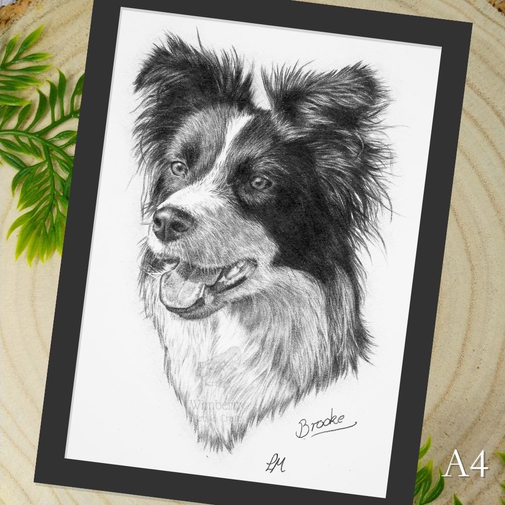 pet-portrait-gift