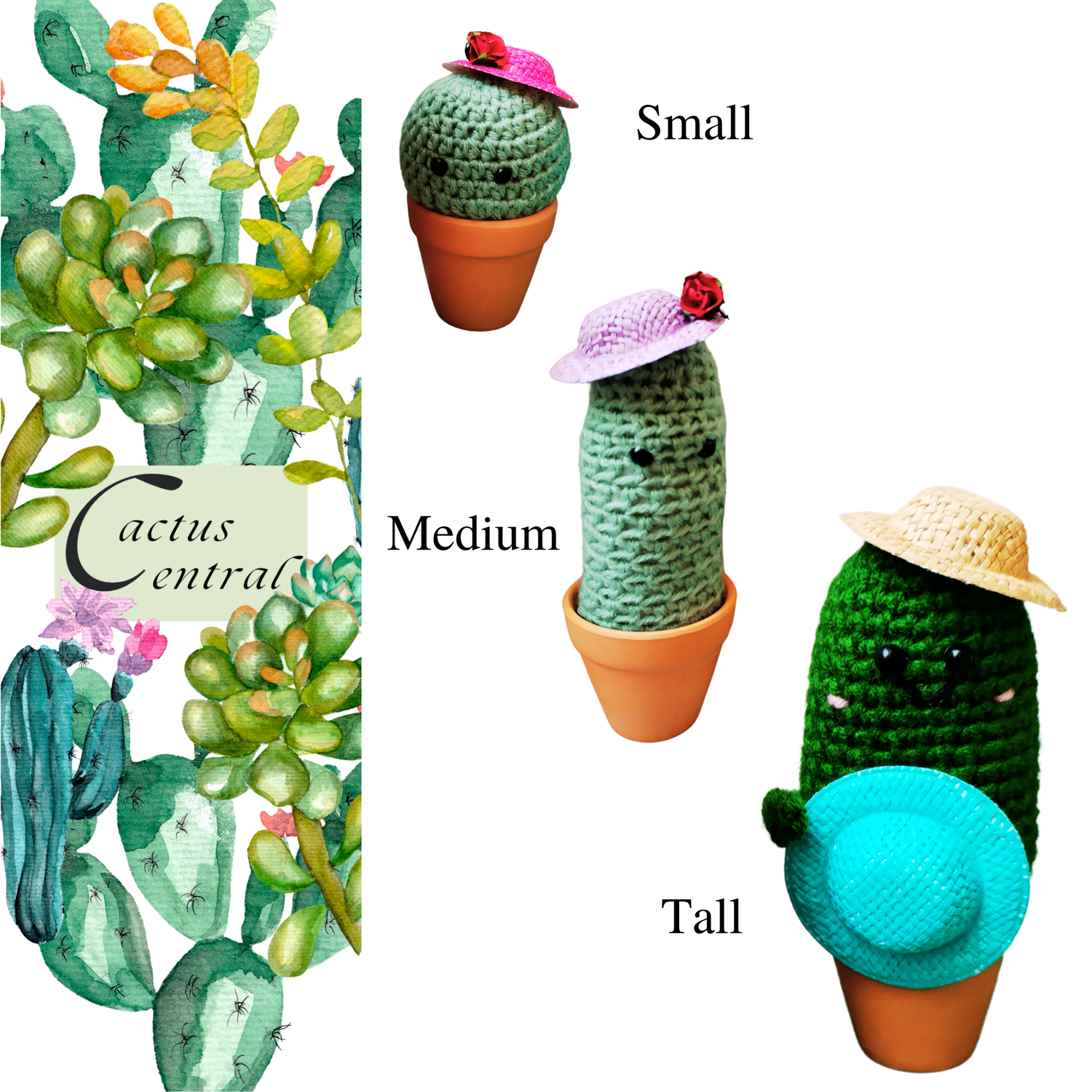 cactus themed gifts