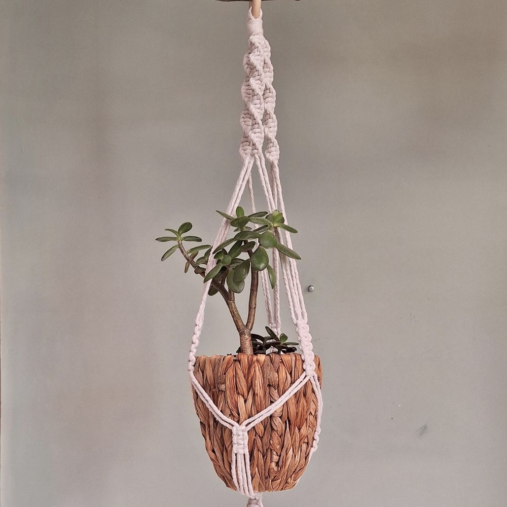 hanging plant holder kit