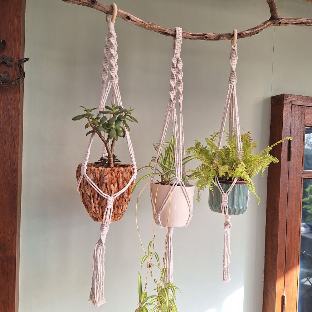 macrame-wall-plant-hanger