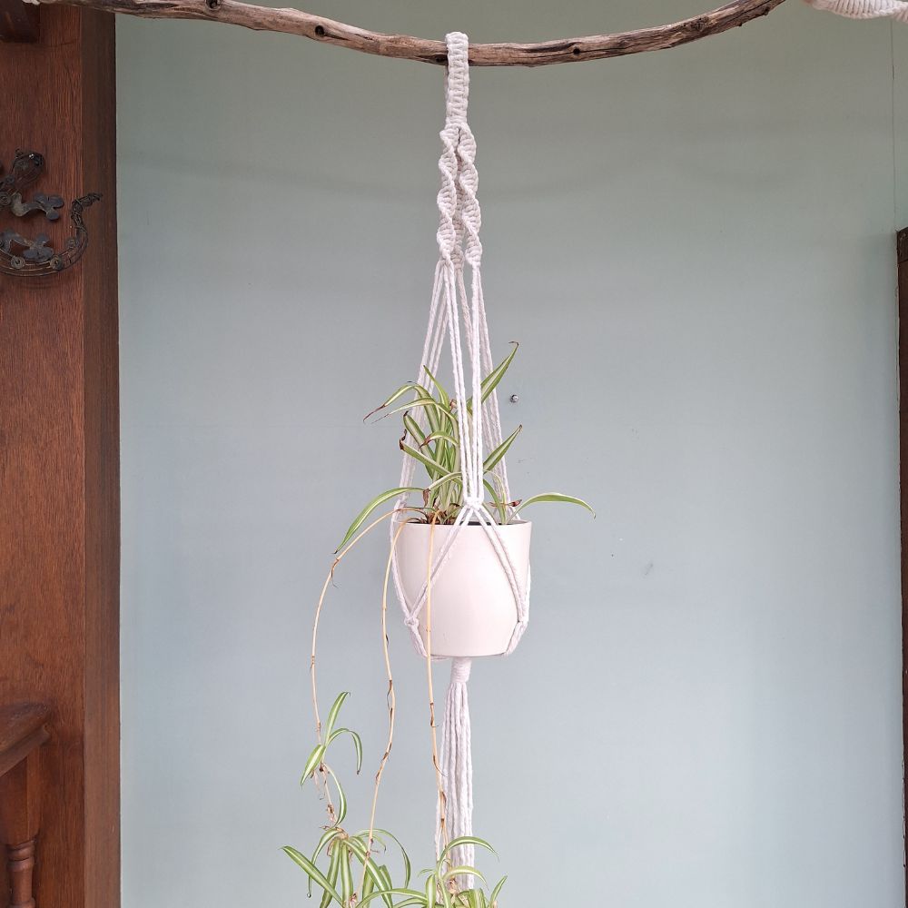 macrame-wall-plant-hanger