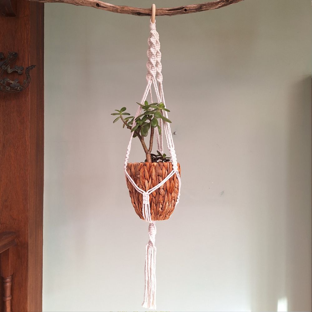 macrame-wall-plant-hanger