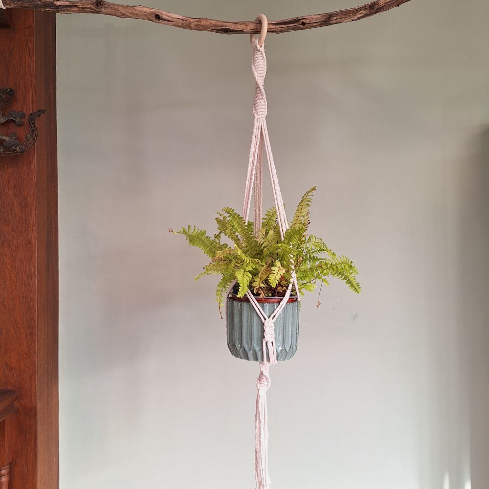 macrame-wall-plant-hanger