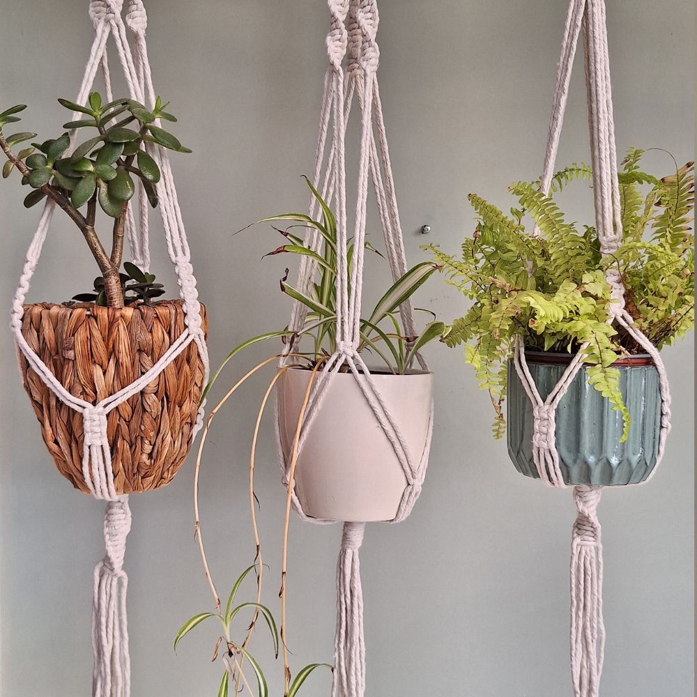 macrame-wall-plant-hanger