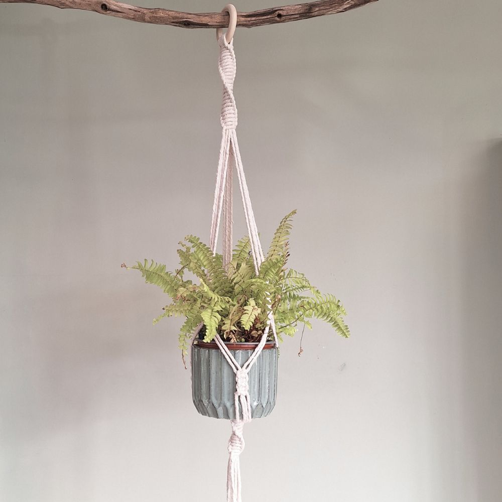 macrame-wall-plant-hanger