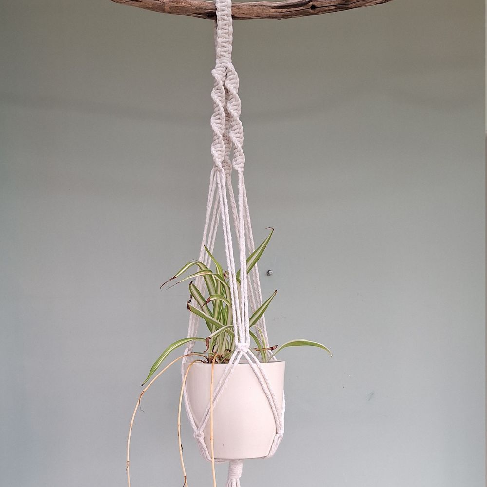 macrame-wall-plant-hanger