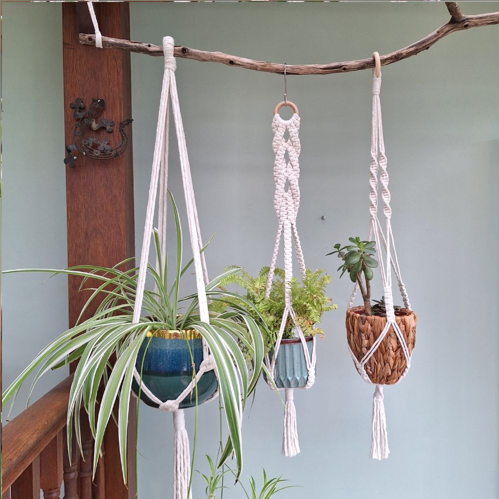 plant-hangers