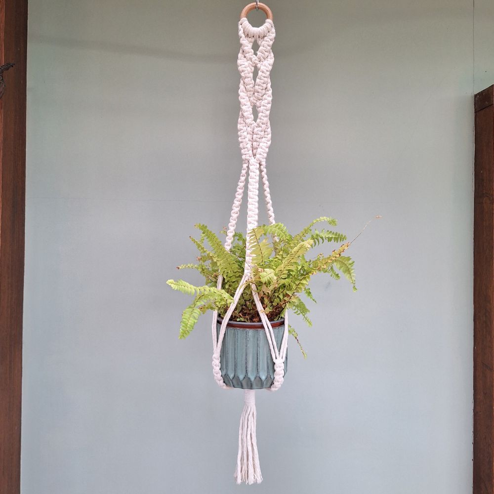 plant-hangers