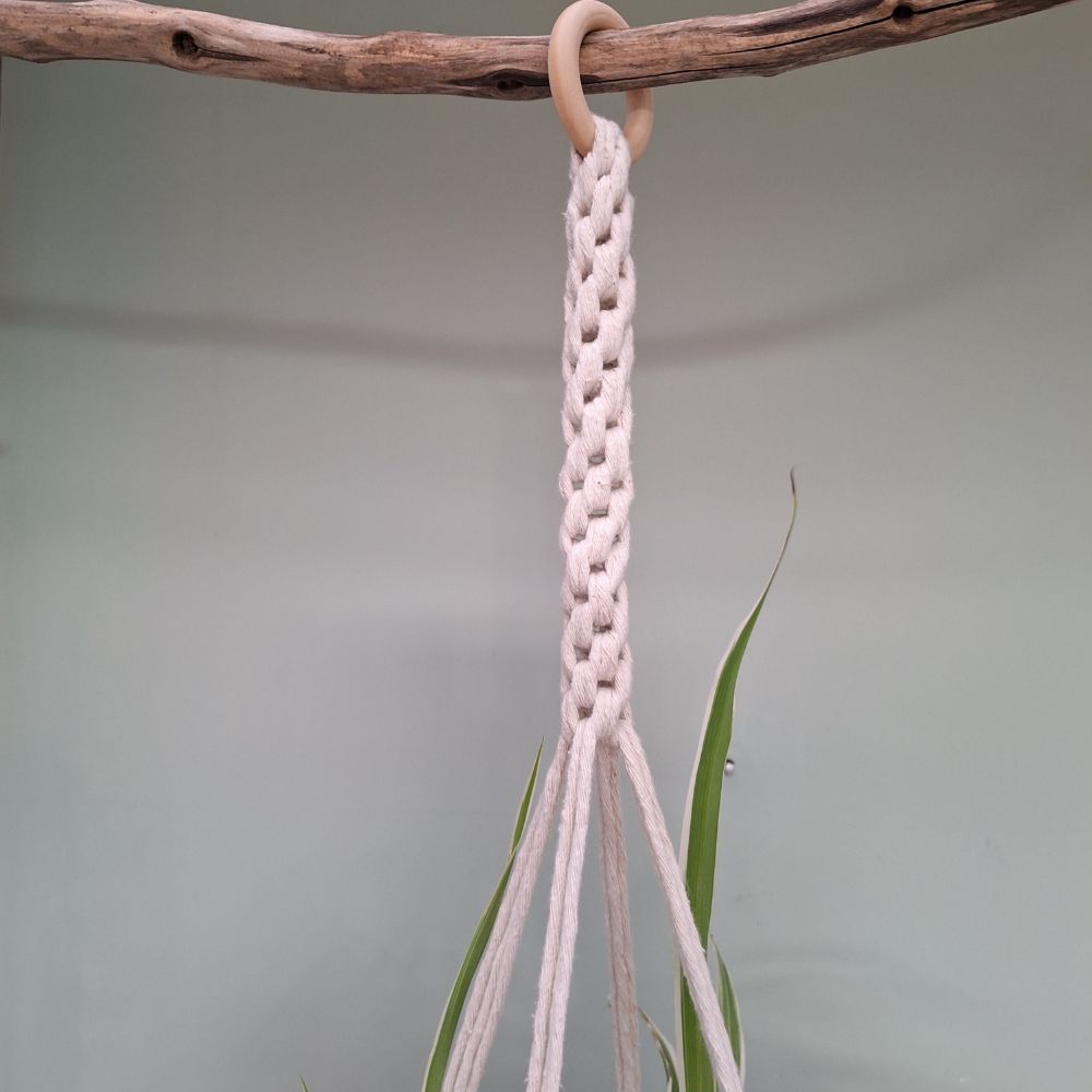 wall-plant-hangers