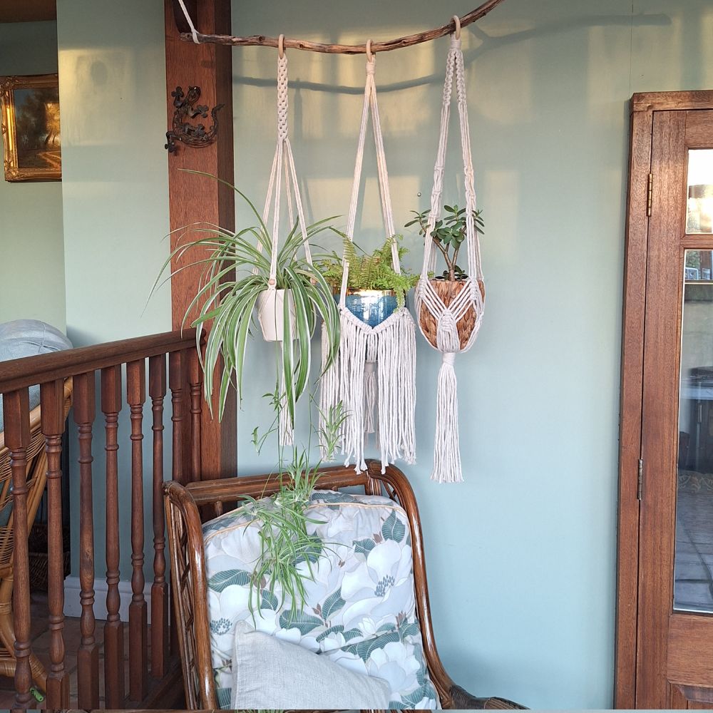 wall-plant-hangers