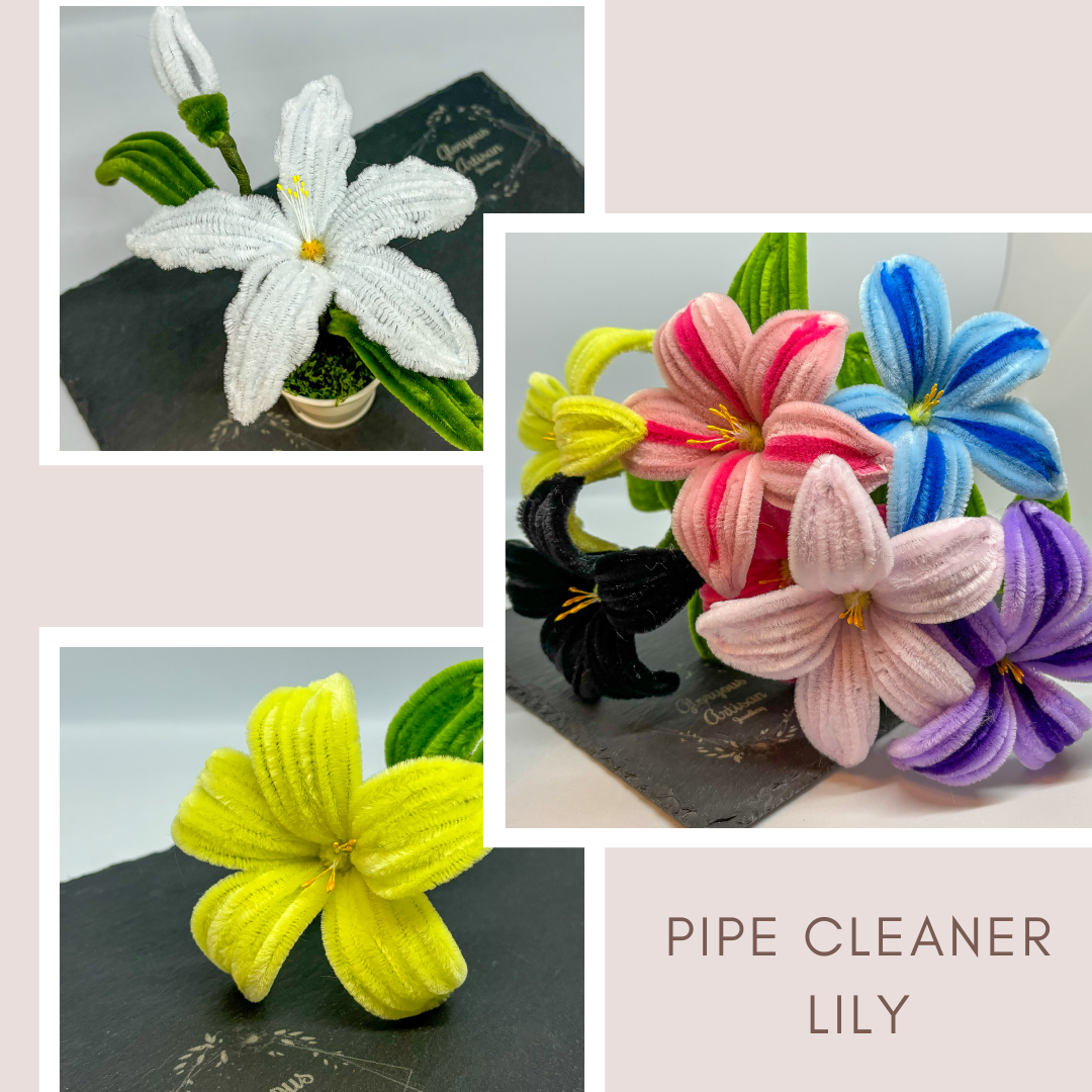 pipe cleaner lily